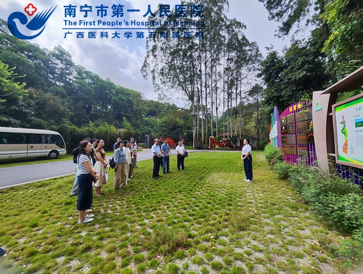 南宁市第一人民医院携手自治区林业局 共探“森林康养加医疗”融合发展新路径