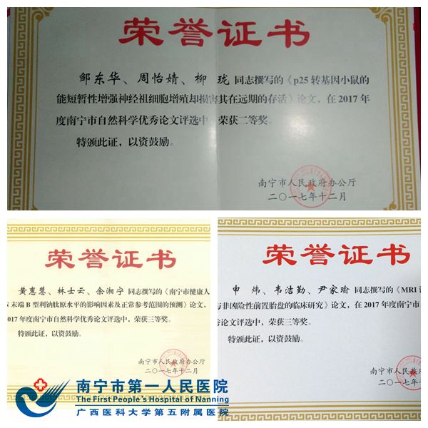 我院3篇论文荣获2017年南宁市自然科学优秀论文奖