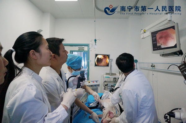 我院消化内镜中心成功开展实体动物操作培训