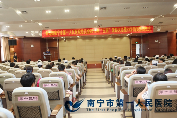 我院召开2016年“五四”表彰大会暨28岁团员退团仪式