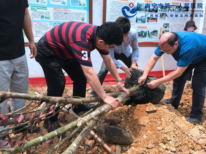 植树造林 党员先行——开展“兴水利 种好树 助脱贫 惠民生”主题活动